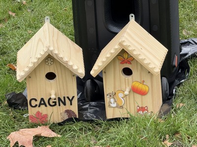 Cabane oiseaux