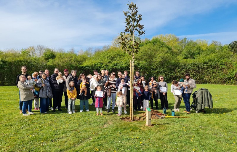 Arbre pour les naissances
