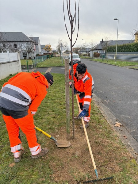 Lotissement des Hameaux