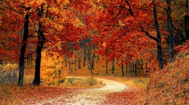 Automne
