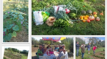 Jardin partagé