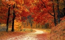 Automne