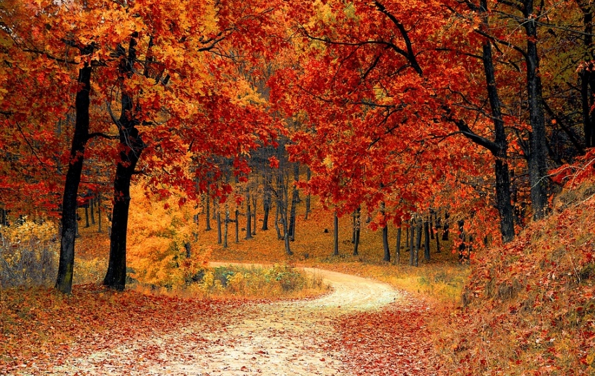 Automne