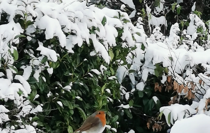 photo cagny sous la neige