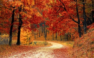 Automne