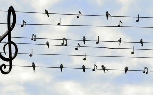 Concert chorale de l'amitié