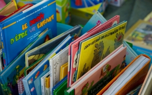 Foire aux livres bibliothèque