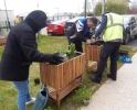 Jardin partagé